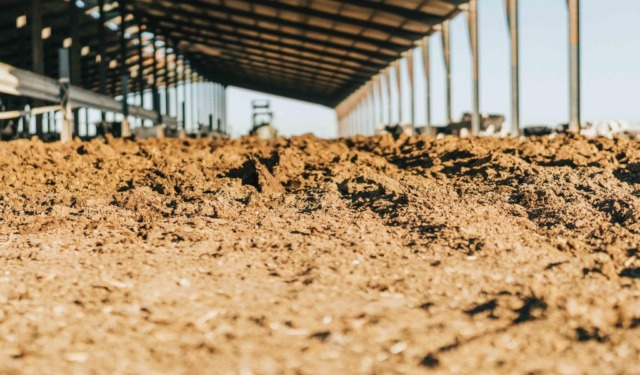 Il Comune di Gonzaga dice basta alla concentrazione eccessiva degli allevamenti intensivi