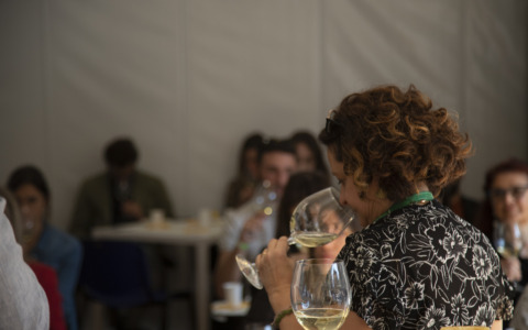 Food&Science Festival 2026 a Mantova: innovazione e sostenibilità al centro del dibattito agroalimentare