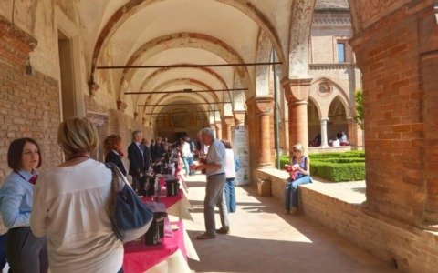 “Lambrusco a Palazzo” 2026: a San Benedetto Po un viaggio tra storia, degustazioni e masterclass