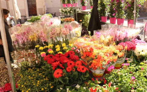 Mantova Fiorita: un successo senza precedenti trasforma la città in un giardino a cielo aperto