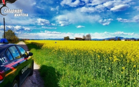 Finisce la fuga del 23enne che terrorizzava Suzzara: scattano le manette