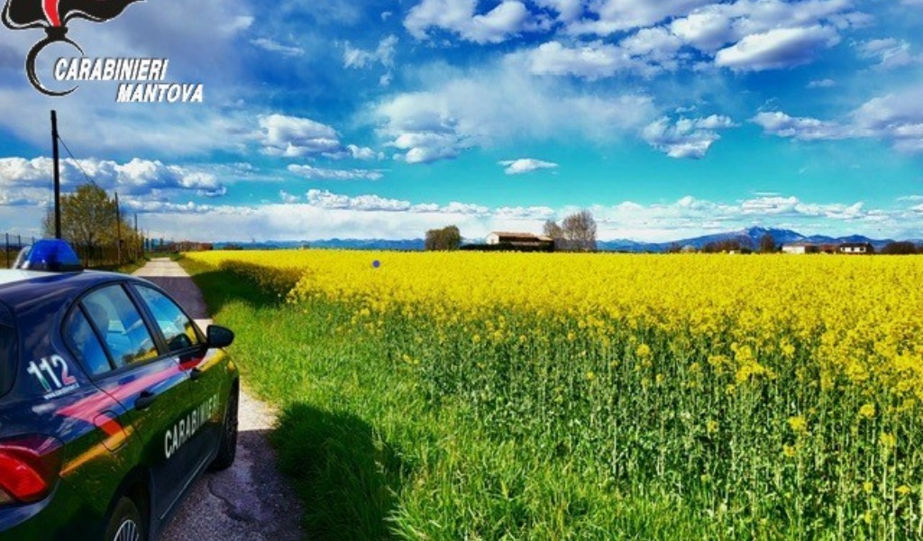 Finisce la fuga del 23enne che terrorizzava Suzzara: scattano le manette