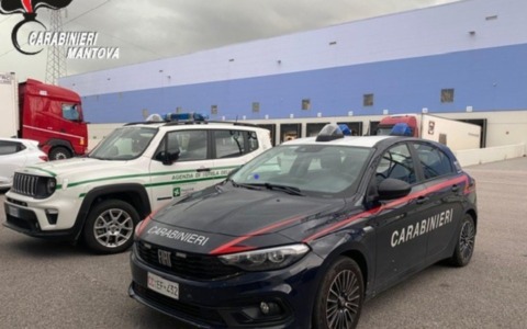 Incidente sul lavoro a Roncoferraro: operaio si taglia due dita della mano con una motosega