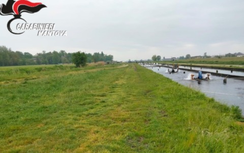 Furto maldestro di storioni a Goito: 10 quintali di pesci pescati e poi abbandonati un canale irriguo