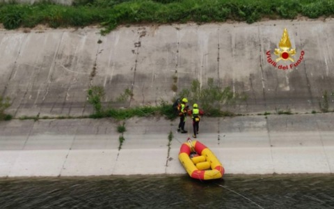 Capriolo in difficoltà lungo il Diversivo Mincio: salvato dai Vigili del Fuoco