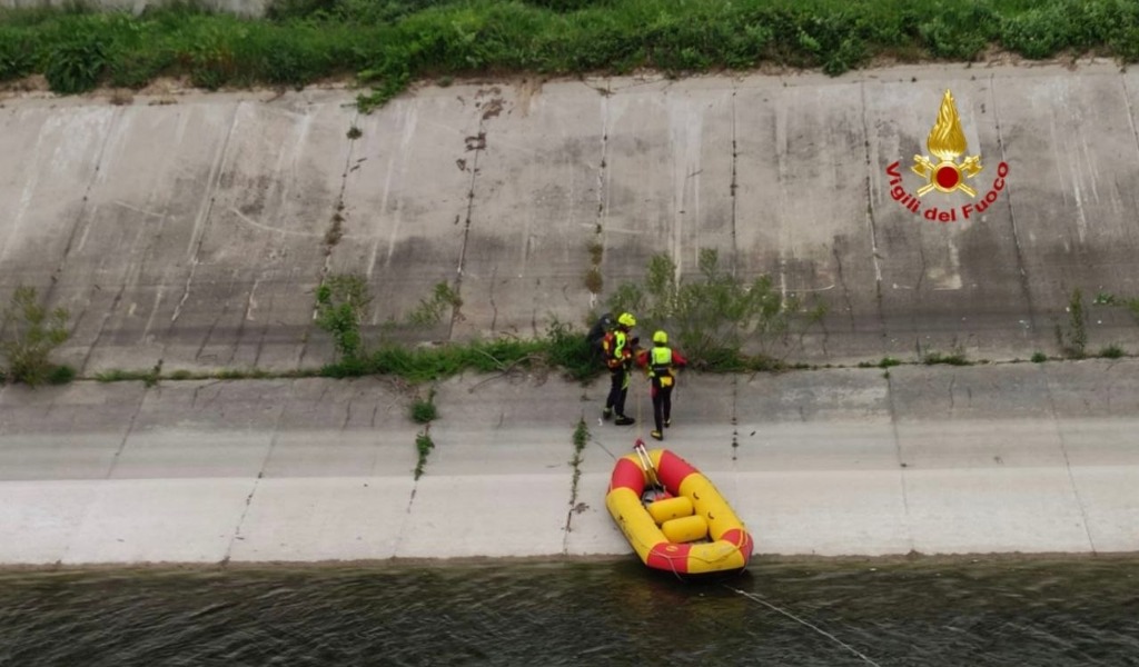 Capriolo in difficoltà lungo il Diversivo Mincio: salvato dai Vigili del Fuoco