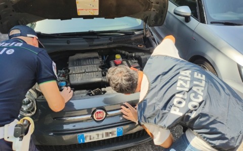 Blitz della Polizia Locale a Mantova: scoperto un maxi deposito abusivo di auto usate