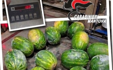 Rubano 180 chili di angurie in un’azienda agricola di Marcaria e minacciano il titolare con un coltello