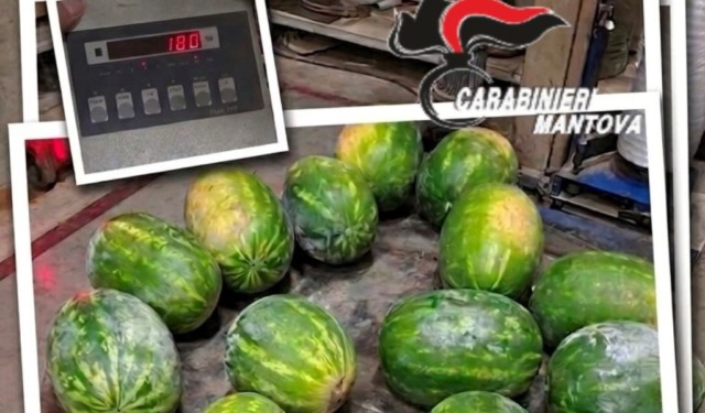Rubano 180 chili di angurie in un’azienda agricola di Marcaria e minacciano il titolare con un coltello