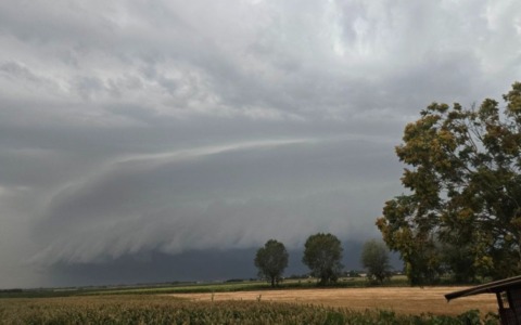 Nubifragio sul Mantovano, allagamenti e alberi abbattuti: danni anche all’agricoltura