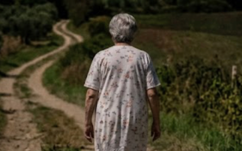 Cade in un terreno di notte a Quingentole, anziana di 93 anni salvata dai carabinieri