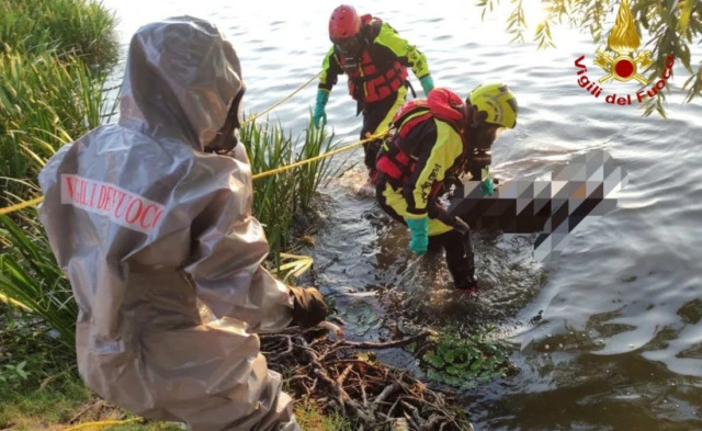 Macabra scoperta nel lago Inferiore di Mantova, trovato il corpo senza vita di un 40enne