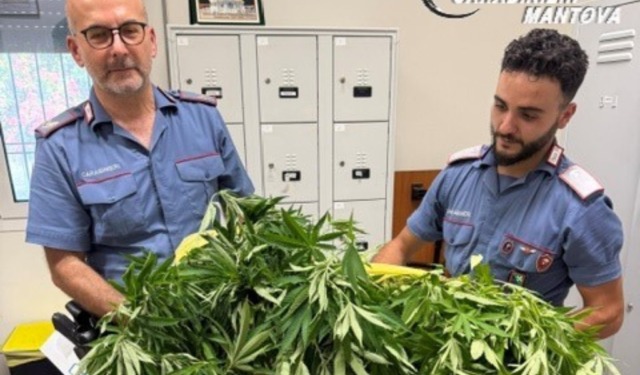 Incendia due auto nella notte: arrestato 41enne, in casa nascondeva una serra per la marijuana