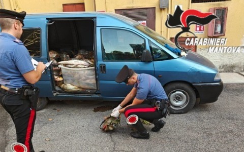 Bilancio dei Carabinieri nel Mantovano per il fine settimana di Ferragosto