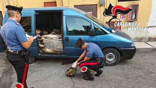 Bilancio dei Carabinieri nel Mantovano per il fine settimana di Ferragosto
