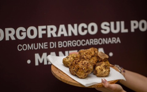 Borgofranco sul Po, al via la 32ª Fiera Nazionale del Tartufo Bianco: date, eventi e sapori dell’Oltrepò mantovano