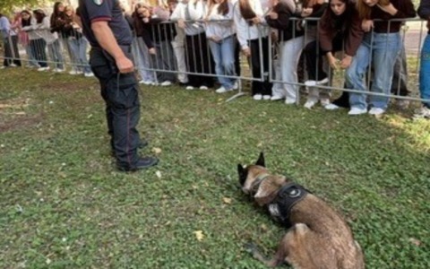 Unità cinofile dei Carabinieri a Viadana per l’evento dedicato ai cani da soccorso