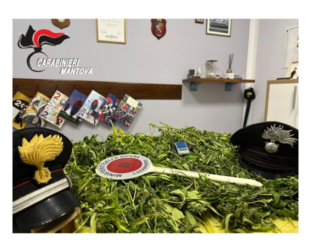 Blitz dei Carabinieri a Marcaria: sequestrata sostanza stupefacente in abitazione